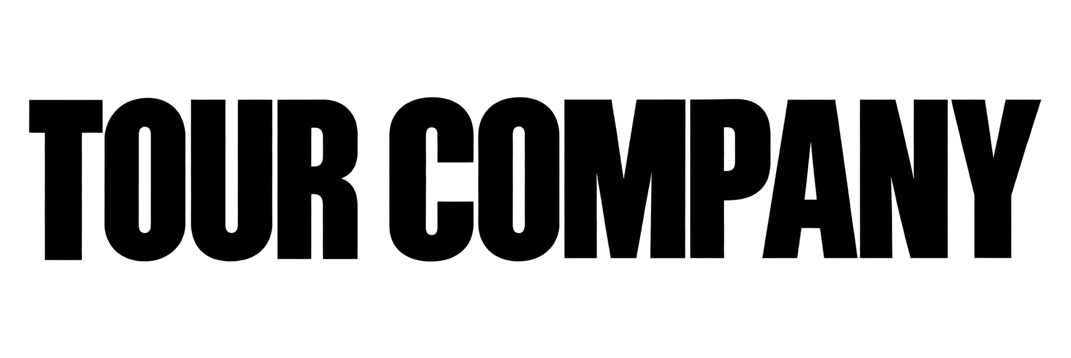 swiss tour company